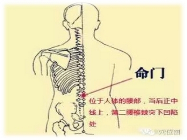 夏至 未病先防养生观(图4)