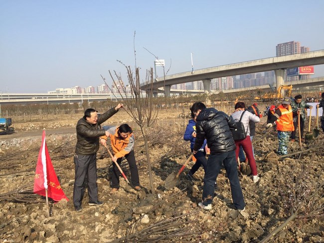 我院职工积极参加 “义务植树”公益活动(图1)