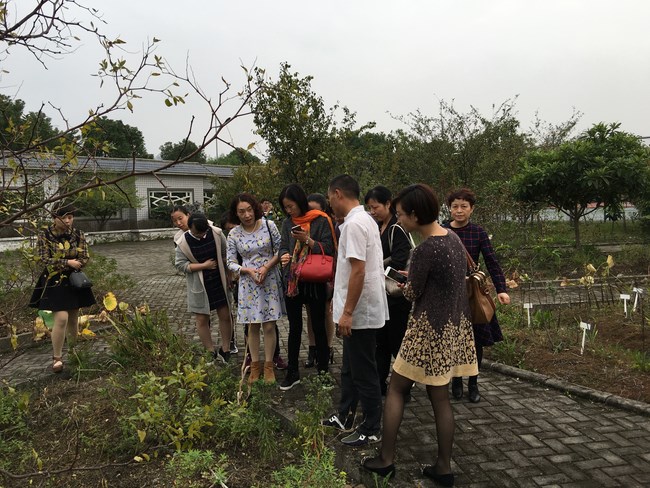 护理部举办2016年芜湖市中医护理专业学组活动(图1)