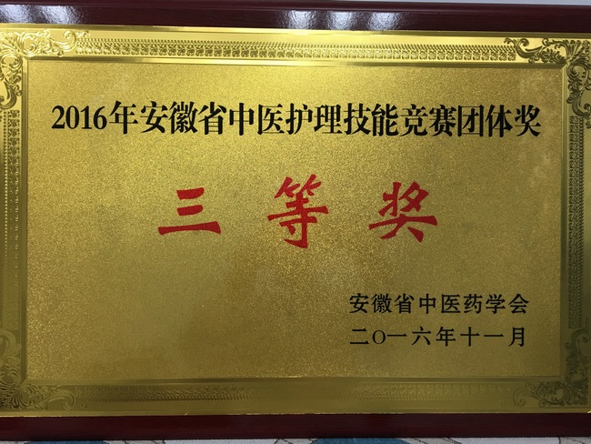 热烈祝贺我院选手在2016年安徽省中医护理技能竞赛中喜获佳绩(图4)