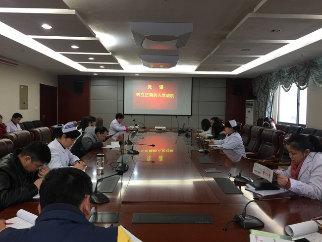 行政片党总支召开“两学一做”学习教育专题研讨会(图1)