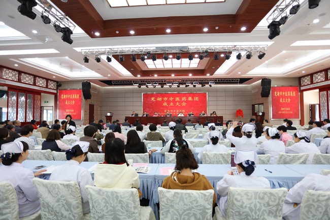 乘十九大春风 谱中医药发展新曲 ——芜湖市中医药集团成立大会顺利举行(图1)