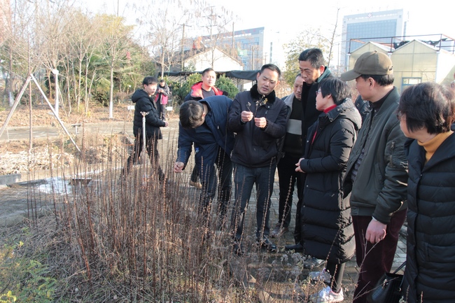 我院成功举办安徽省中药特色技术传承人才第二期培训班（芜湖班）(图4)