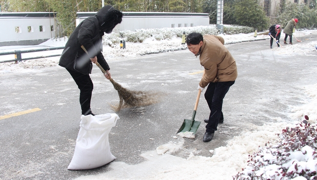 我院组织人员及时扫除积雪 保障患者群众就诊安全(图3)