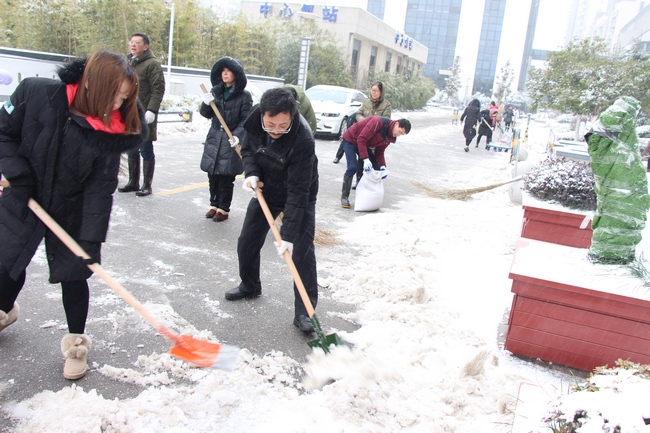 我院组织人员及时扫除积雪 保障患者群众就诊安全(图7)