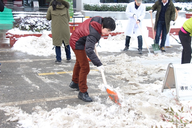 我院组织人员及时扫除积雪 保障患者群众就诊安全(图12)