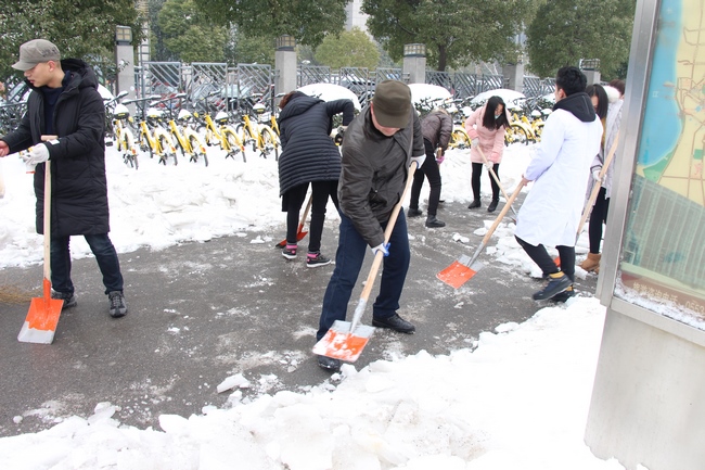 方便市民出行 我院党员干部职工上路铲雪(图11)