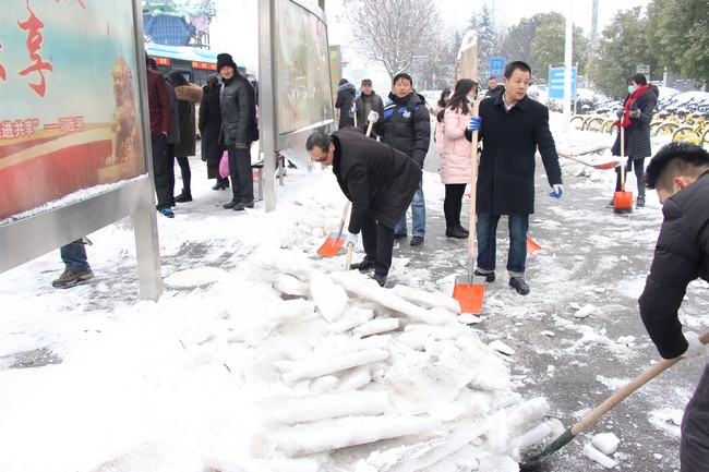 方便市民出行 我院党员干部职工上路铲雪(图14)