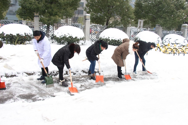 方便市民出行 我院党员干部职工上路铲雪(图15)