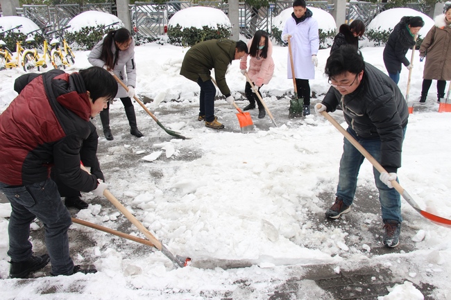 方便市民出行 我院党员干部职工上路铲雪(图16)