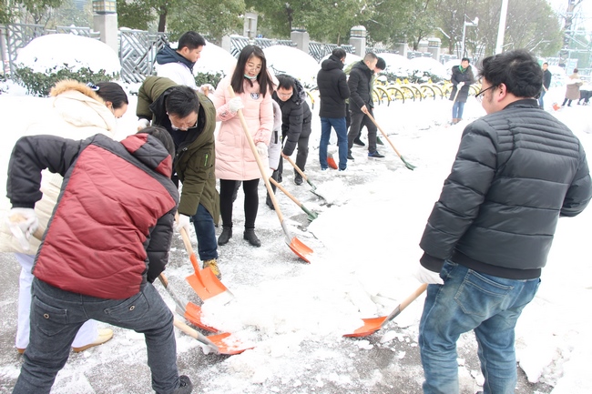 方便市民出行 我院党员干部职工上路铲雪(图19)