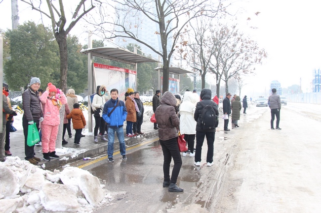 方便市民出行 我院党员干部职工上路铲雪(图24)