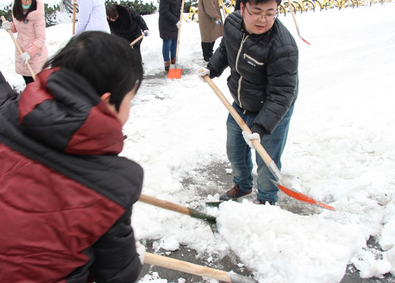 方便市民出行 我院党员干部职工上路铲雪(图17)