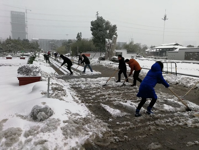 方便市民出行 我院党员干部职工上路铲雪(图1)