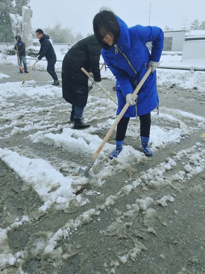 方便市民出行 我院党员干部职工上路铲雪(图4)