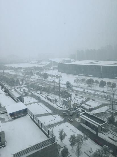 方便市民出行 我院党员干部职工上路铲雪(图9)