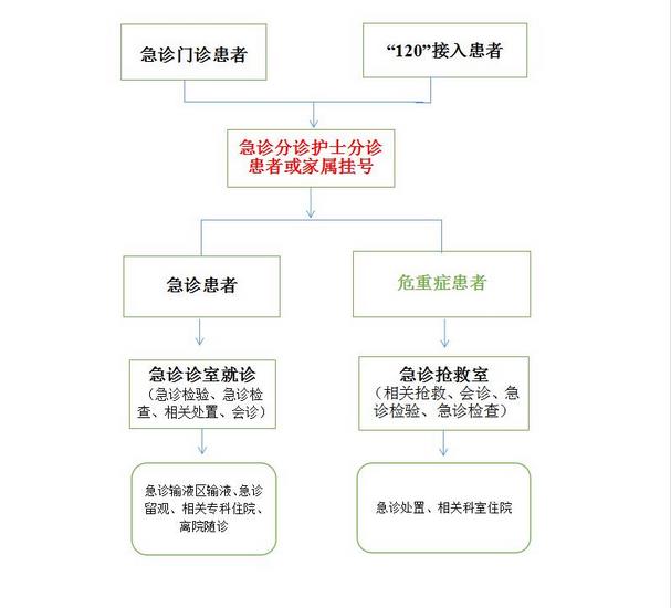 云顶集团yd1233检测网址 急诊就诊流程图(图1)