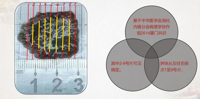 图片4 (复制).jpg