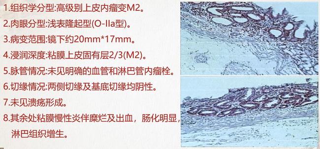 图片5 (复制).jpg