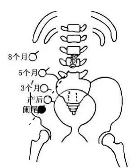 3 (复制).jpg