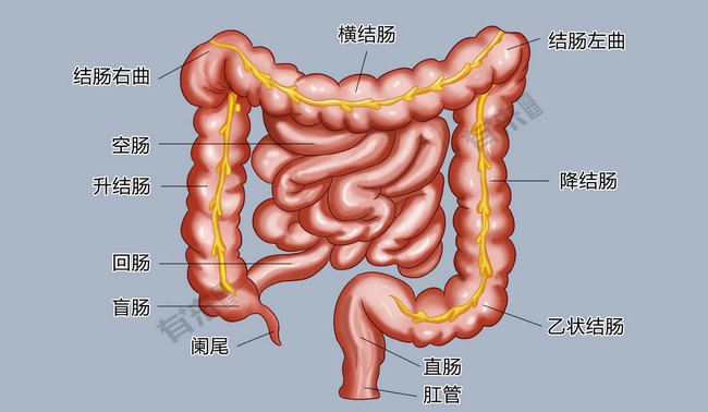 图片1 (复制).jpg