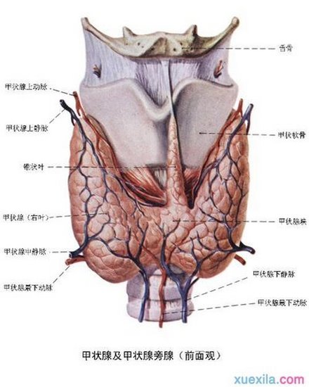 图片5 (复制).jpg