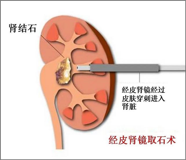 图片6 (复制).jpg