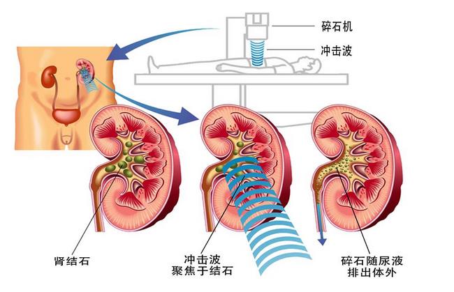 图片5 (复制).jpg