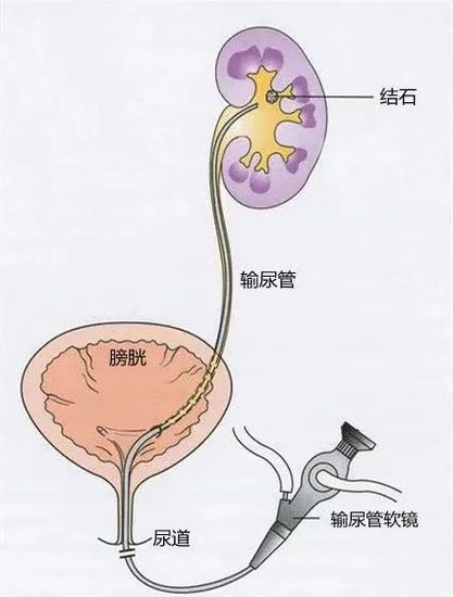 图片7 (复制).jpg