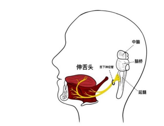 图片3 (复制).jpg