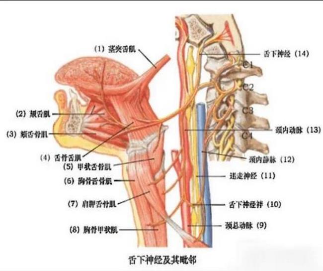 图片4 (复制).jpg