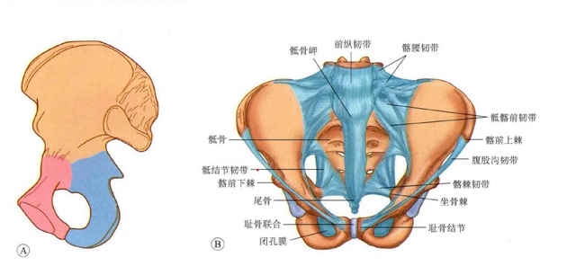 图片1 (复制).jpg