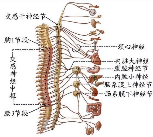 图片1 (复制).jpg