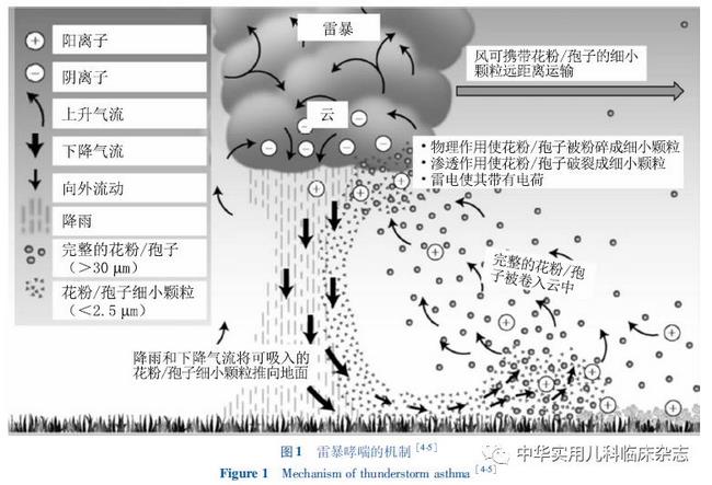 2 (复制).jpg